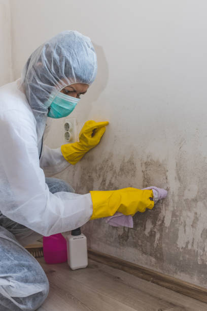 Best Airborne Mold Testing  in Bridgeport, CT
