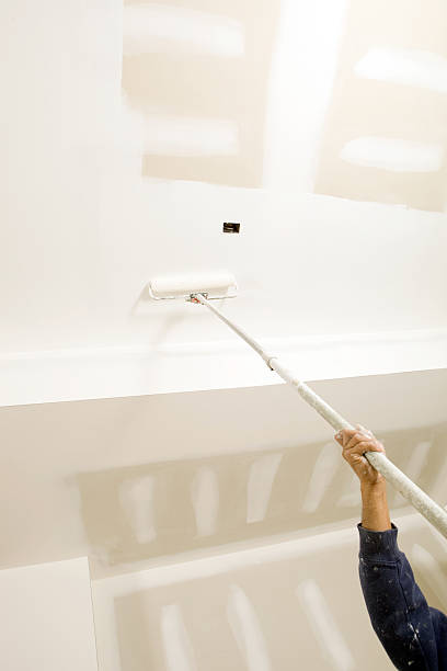 Best Attic Mold Removal  in Bridgeport, CT